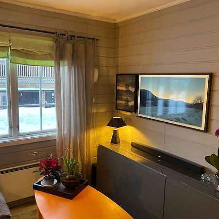 Koselig Leilighet , Med Parkering Og Ski In &Out. Apartment Oppdal Luaran gambar