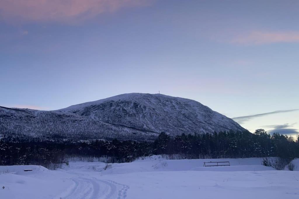 Koselig Leilighet , Med Parkering Og Ski In &Out. Apartment Oppdal Luaran gambar